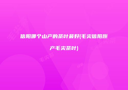 信阳哪个山产的茶叶最好(毛尖信阳原产毛尖茶叶)