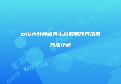 云南大叶种晒青毛茶的制作方法与方法详解