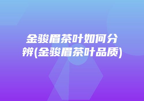 金骏眉茶叶如何分辨(金骏眉茶叶品质)