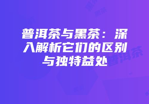 普洱茶与黑茶：深入解析它们的区别与独特益处