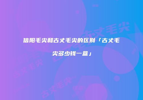 信阳毛尖和古丈毛尖的区别「古丈毛尖多少钱一盒」