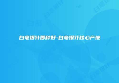 白毫银针哪种好-白毫银针核心产地