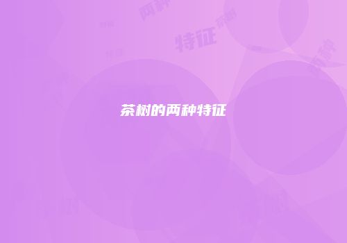 茶树的两种特征