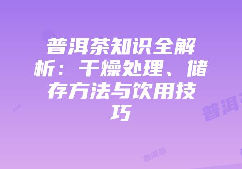 普洱茶知识全解析：干燥处理、储存方法与饮用技巧