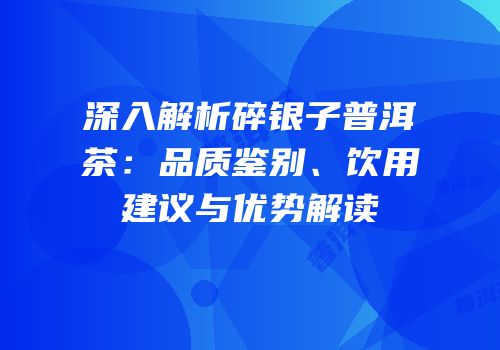 深入解析碎银子普洱茶：品质鉴别、饮用建议与优势解读