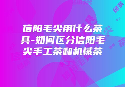 信阳毛尖用什么茶具-如何区分信阳毛尖手工茶和机械茶