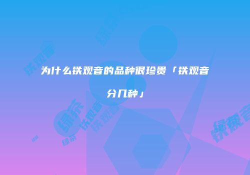 为什么铁观音的品种很珍贵「铁观音分几种」