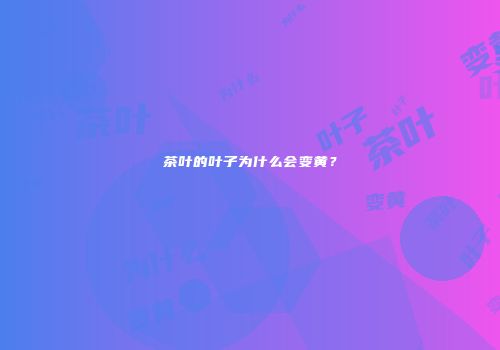茶叶的叶子为什么会变黄？