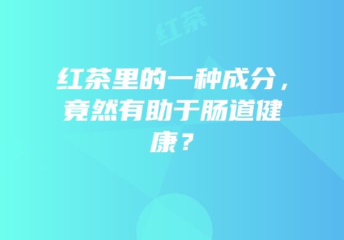 红茶里的一种成分，竟然有助于肠道健康？