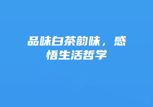 品味白茶韵味，感悟生活哲学