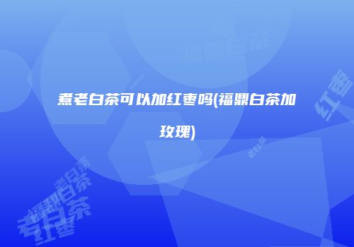 煮老白茶可以加红枣吗(福鼎白茶加玫瑰)