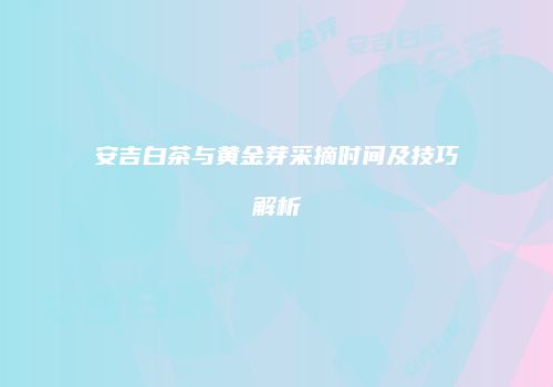 安吉白茶与黄金芽采摘时间及技巧解析