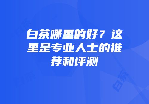 白茶哪里的好？这里是专业人士的推荐和评测