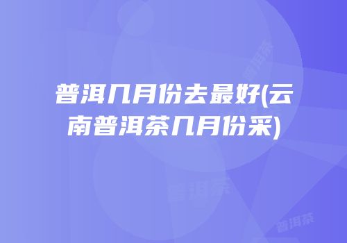 普洱几月份去最好(云南普洱茶几月份采)