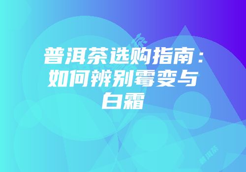 普洱茶选购指南：如何辨别霉变与白霜