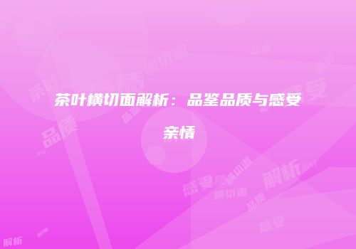茶叶横切面解析：品鉴品质与感受亲情