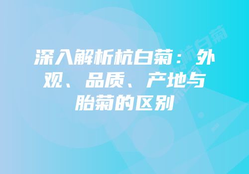 深入解析杭白菊：外观、品质、产地与胎菊的区别