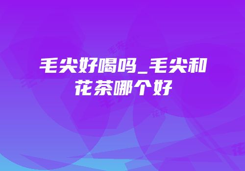 毛尖好喝吗_毛尖和花茶哪个好
