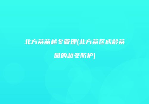 北方茶苗越冬管理(北方茶区成龄茶园的越冬防护)