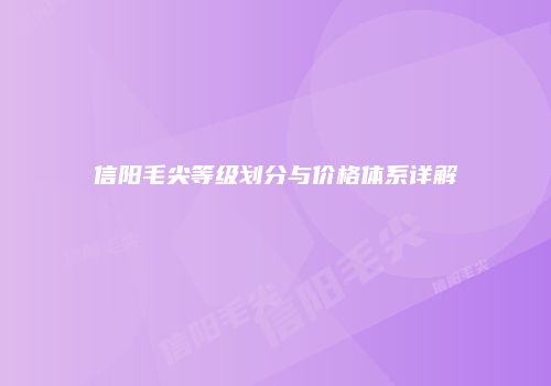 信阳毛尖等级划分与价格体系详解