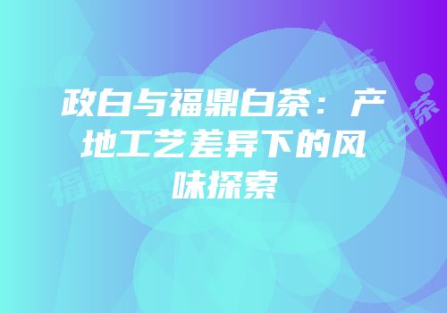 政白与福鼎白茶：产地工艺差异下的风味探索