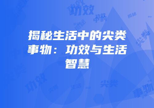 揭秘生活中的尖类事物：功效与生活智慧