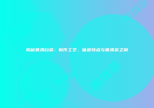 揭秘普洱白茶：制作工艺、味道特点与普洱茶之别