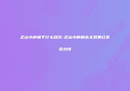 正山小种属于什么档次-正山小种桐木关武夷红茶多少钱