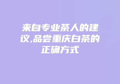 来自专业茶人的建议,品尝重庆白茶的正确方式