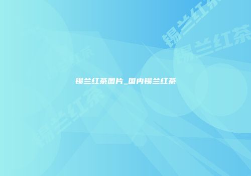 锡兰红茶图片_国内锡兰红茶