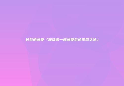 对茶的感受「和茶师一起感受茶的不同之处」