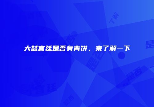 大益宫廷是否有青饼，来了解一下