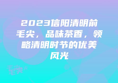 2023信阳清明前毛尖，品味茶香，领略清明时节的优美风光