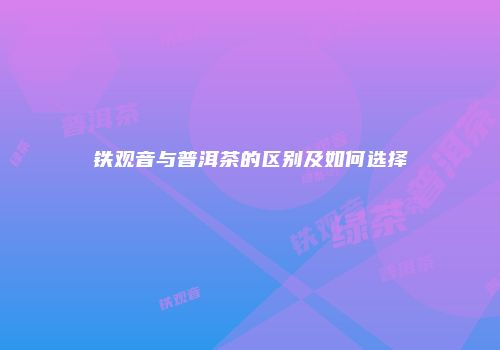 铁观音与普洱茶的区别及如何选择