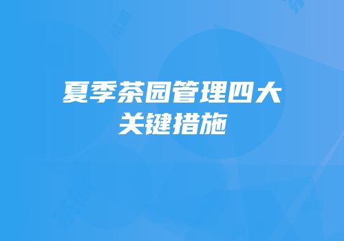夏季茶园管理四大关键措施