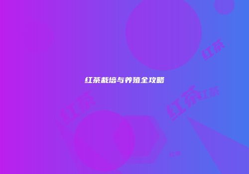红茶栽培与养殖全攻略
