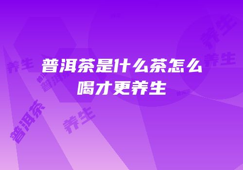 普洱茶是什么茶怎么喝才更养生