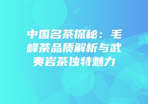 中国名茶探秘：毛峰茶品质解析与武夷岩茶独特魅力
