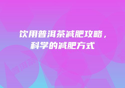 饮用普洱茶减肥攻略，科学的减肥方式