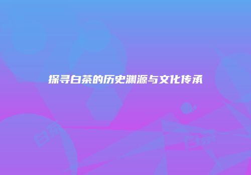探寻白茶的历史渊源与文化传承