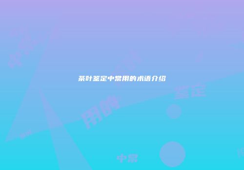 茶叶鉴定中常用的术语介绍