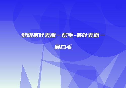 紫阳茶叶表面一层毛-茶叶表面一层白毛