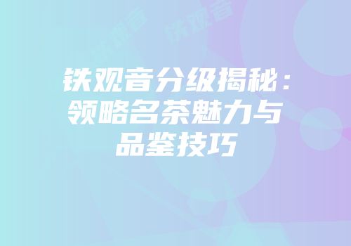铁观音分级揭秘：领略名茶魅力与品鉴技巧