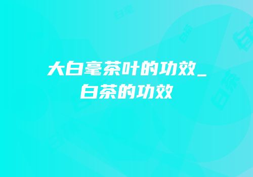 大白毫茶叶的功效_白茶的功效