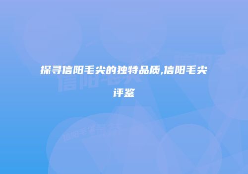 探寻信阳毛尖的独特品质,信阳毛尖评鉴