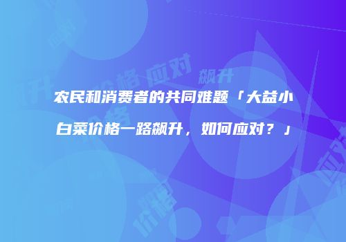 农民和消费者的共同难题「大益小白菜价格一路飙升，如何应对？」