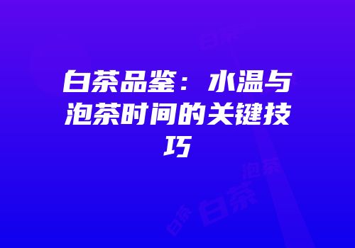 白茶品鉴：水温与泡茶时间的关键技巧