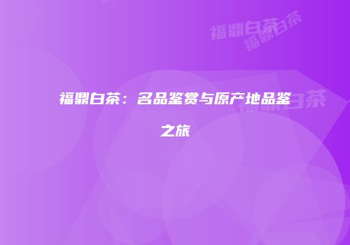 福鼎白茶：名品鉴赏与原产地品鉴之旅
