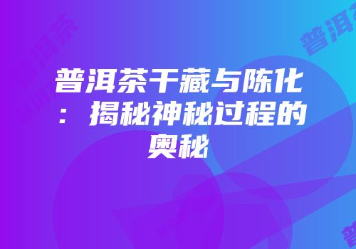 普洱茶干藏与陈化：揭秘神秘过程的奥秘
