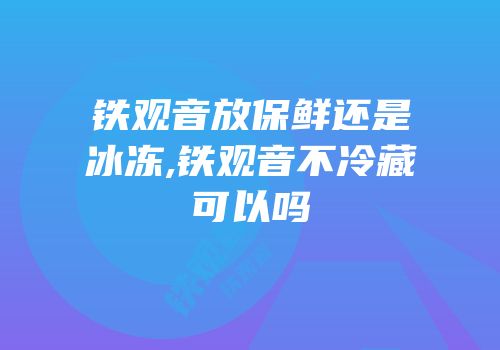 铁观音放保鲜还是冰冻,铁观音不冷藏可以吗